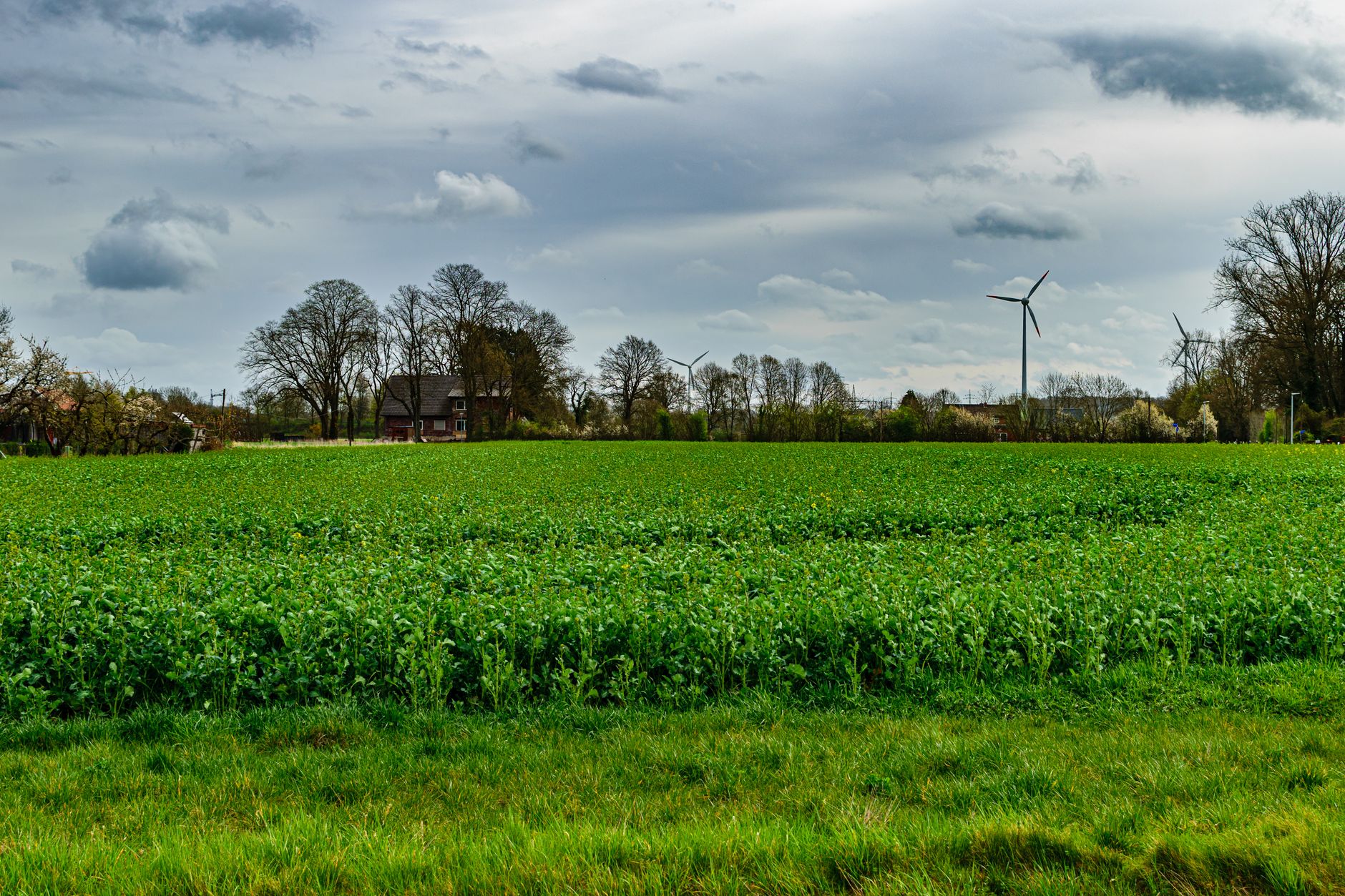 Freestanding small wind turbine on a tall tower in a rural field
